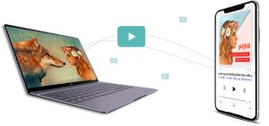 1747129995 transfer videos from iphone to pc.jpg