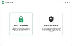 1747321336 choose recover excel password.jpg
