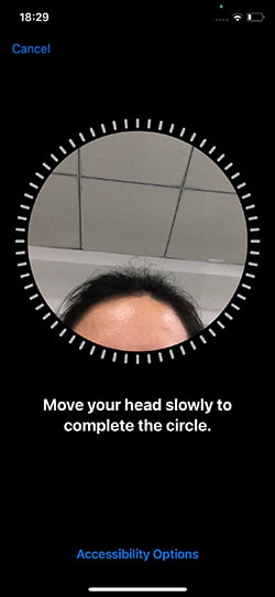 アクセシビリティオプション