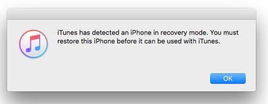 iPhoneをDFUモードに入れてiPhoneの更新を修正する