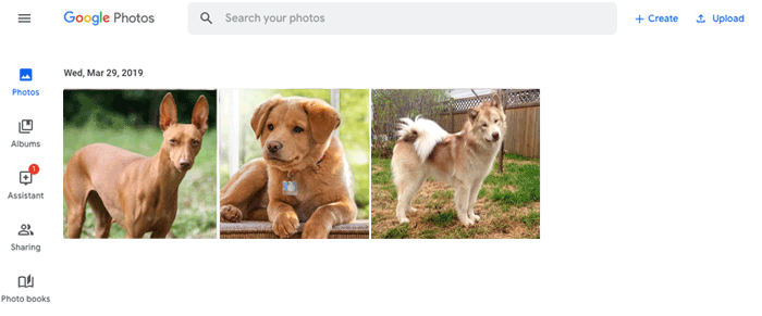 Google写真を使用してコンピューターから電話に写真をダウンロードしてください